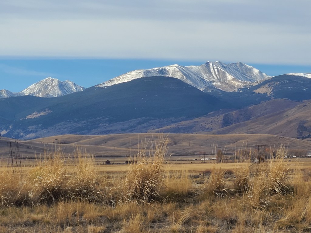 Fainting Goats at the Center of the Universe 10/31&nbsp;(4)