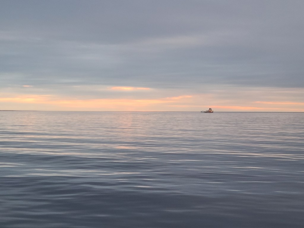 Turkey Trot 11/25&nbsp;(29)