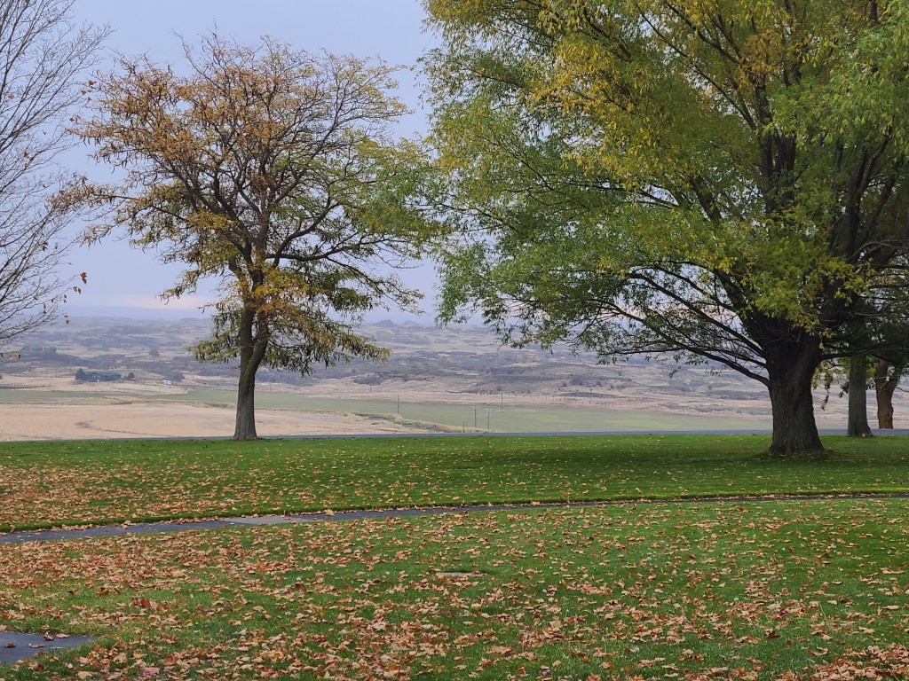 By a Landslide! 11/1&nbsp;(5)