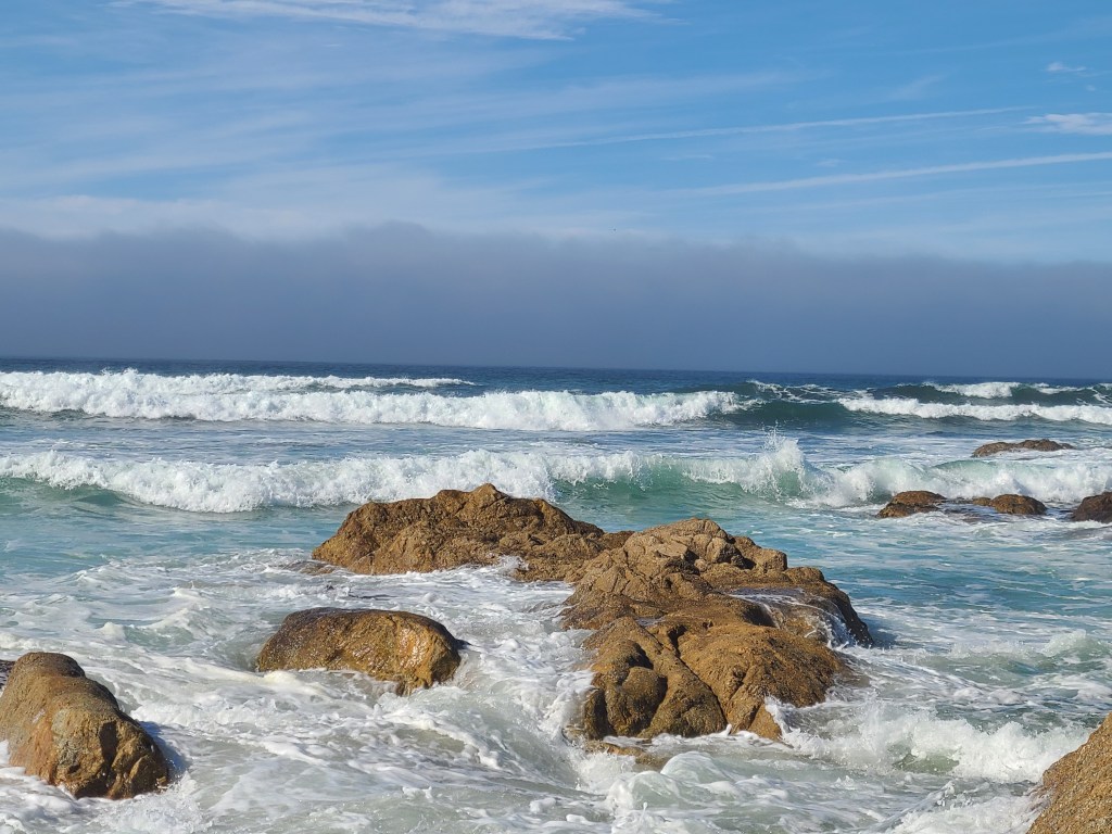 Zero Day Monterey 11/10&nbsp;(14)