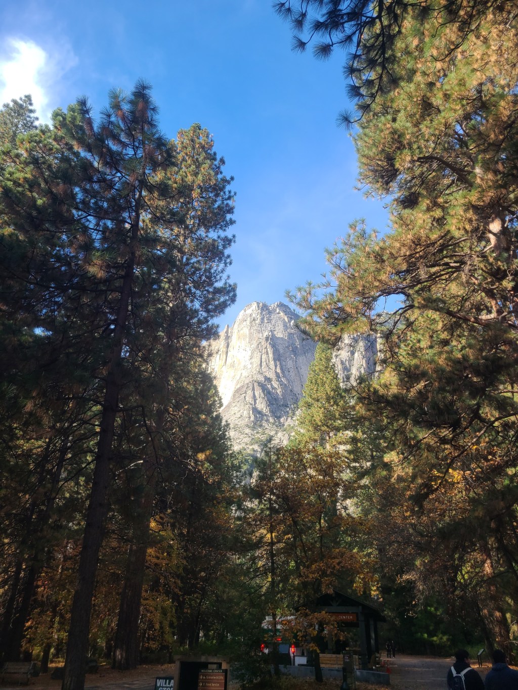 Yosemite National Park 11/11&nbsp;(15)