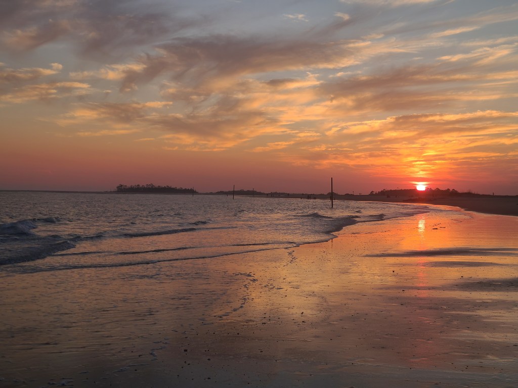 Hot Dogs and HBO 11/22&nbsp;(26)