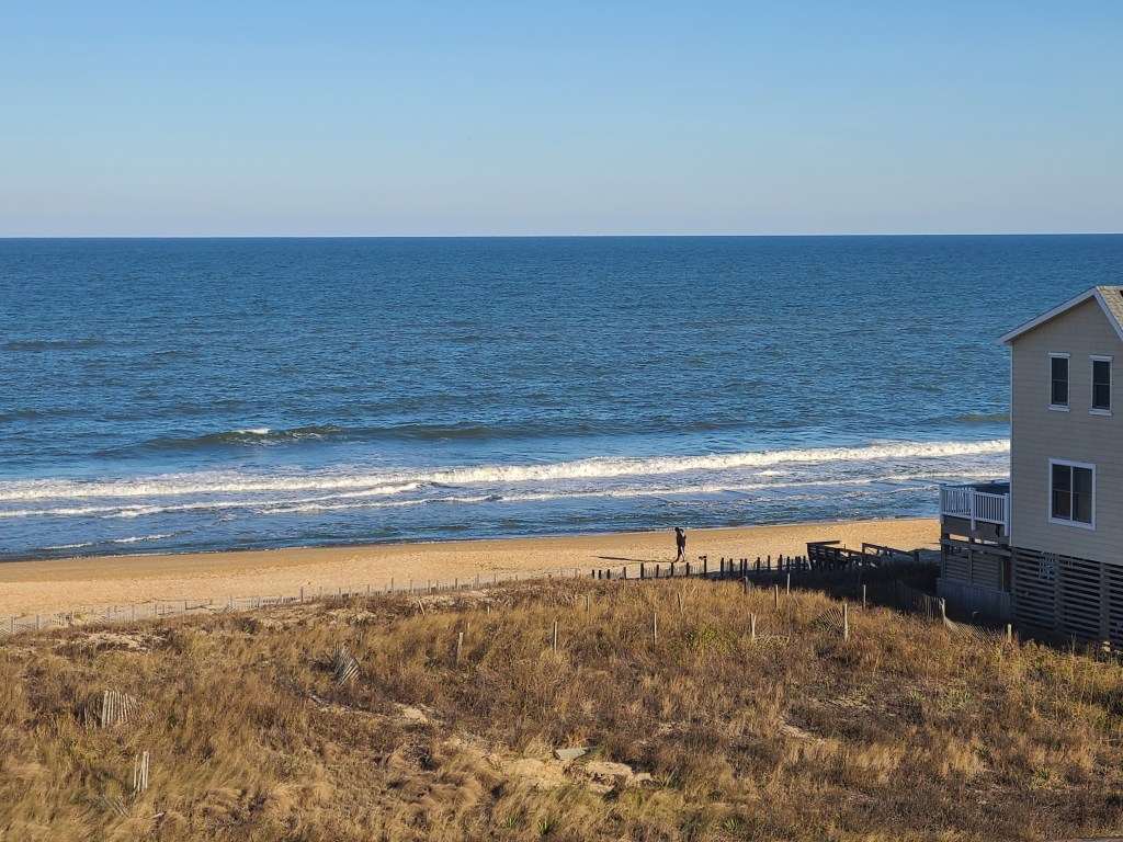 Flight, and Flight 11/24&nbsp;(28)