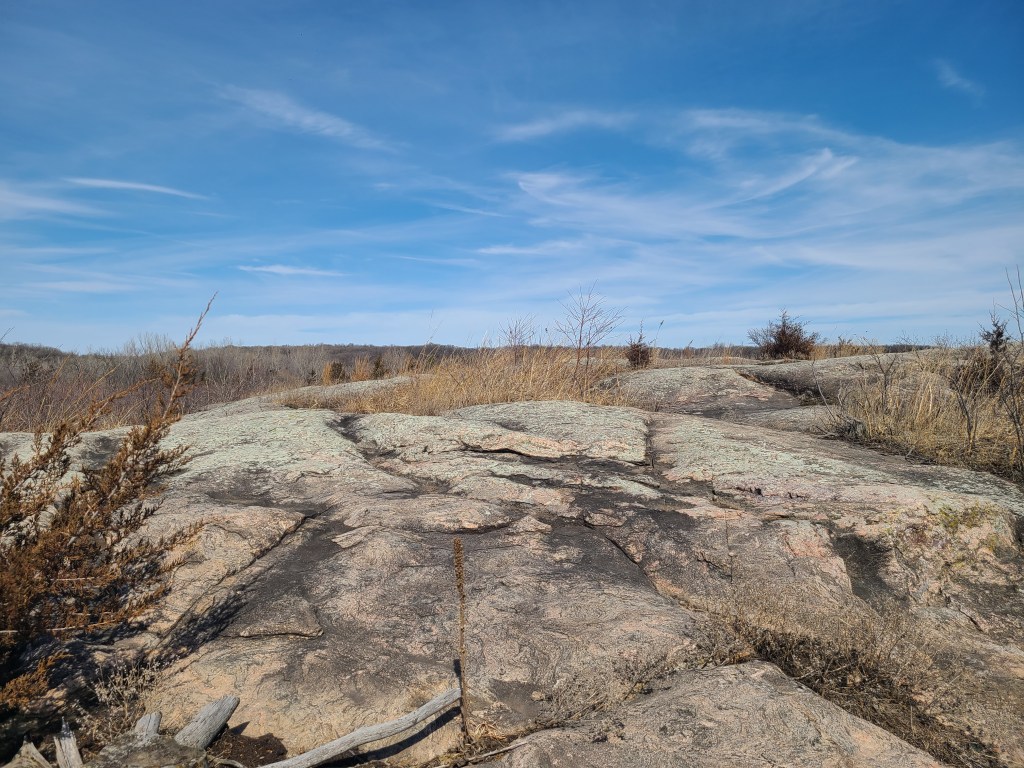 A Gneiss Day 3/21 (1/1)